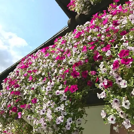 Bed and breakfast Gaestehaus Immenhof 2*
